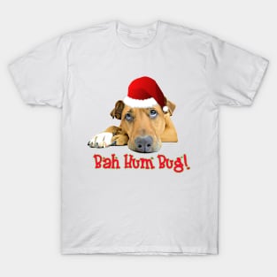 Bah Hum Bug! T-Shirt